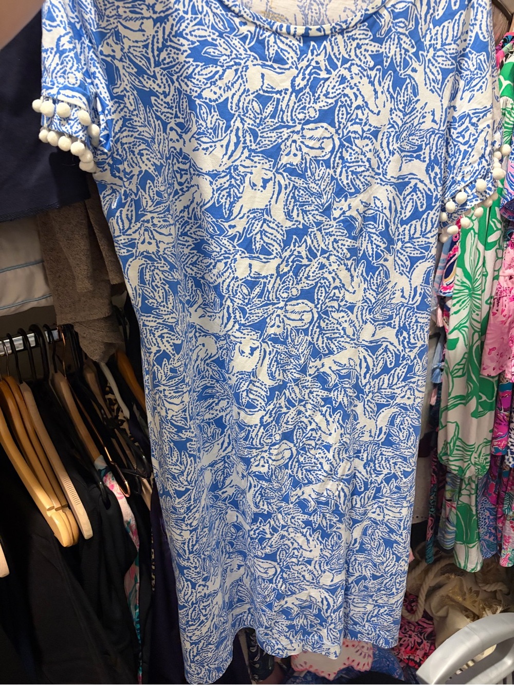 Lilly Pulitzer Lissie Dress